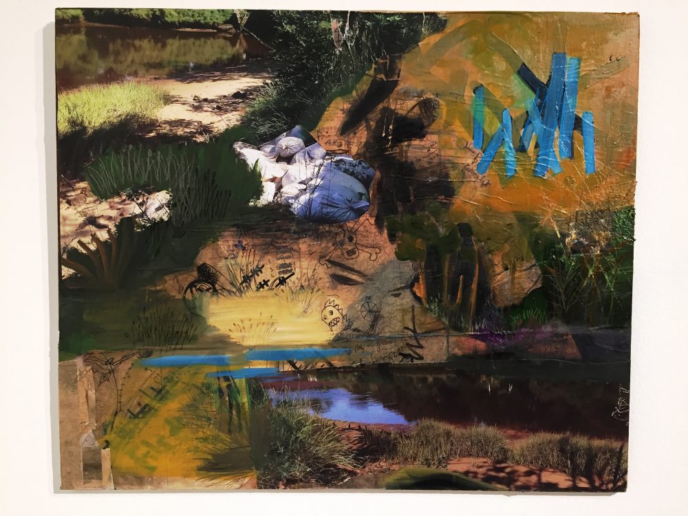 David Joly - Pins bleus